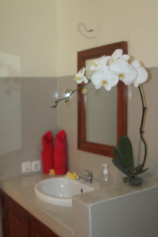 Amed Kunara Guest House מראה חיצוני תמונה